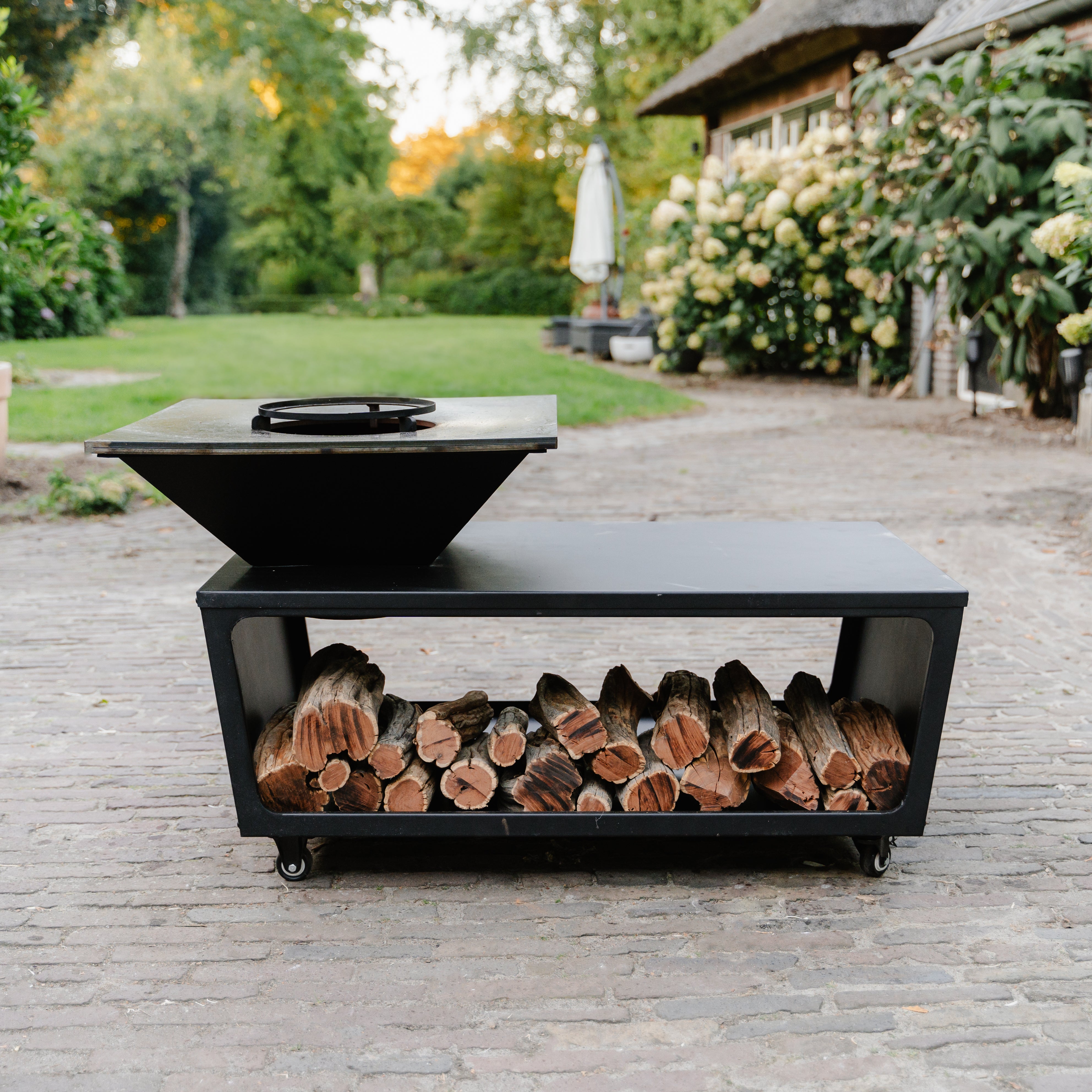 bbq-plancha-grill-compa-a-with-cover-and-wood-storage-60-bbq